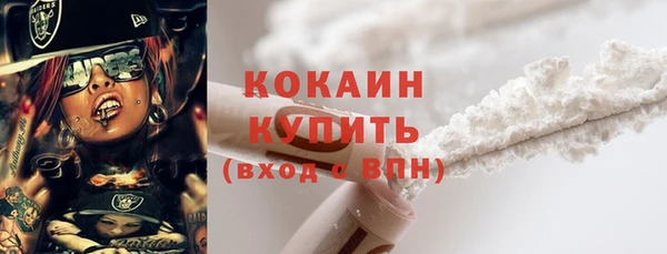 крисы Алзамай