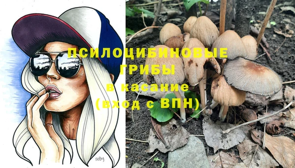 меф Алексин
