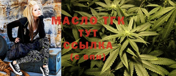 крисы Алзамай