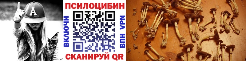 Галлюциногенные грибы Magic Shrooms  mega tor  Первоуральск  хочу наркоту 
